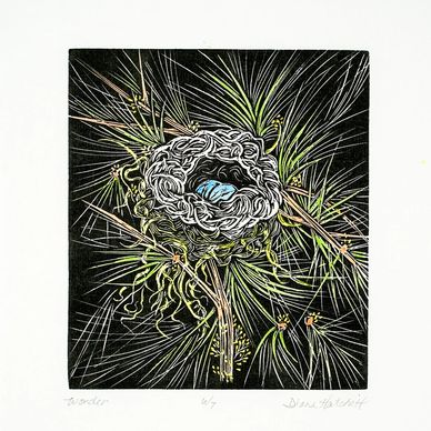 Printmaking Artist Minnesota Wonder