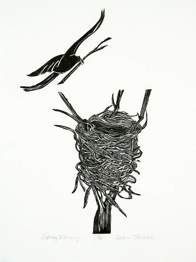 Mezzotint Artist Minnesota Spring Morning