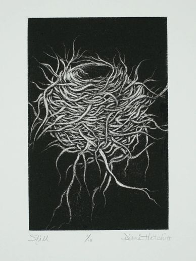 Printmaking Artist in Minnesota