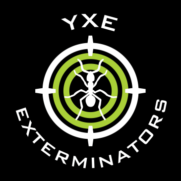 Logo of YXE Exterminators with an ant in a target.