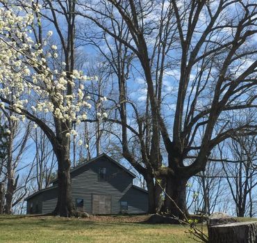 The studio -- A place for discovering art and the art of living