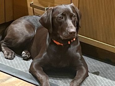 This boy looks just like his dad