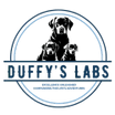 Duffy's Labs