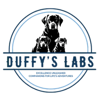 Duffy's Labs