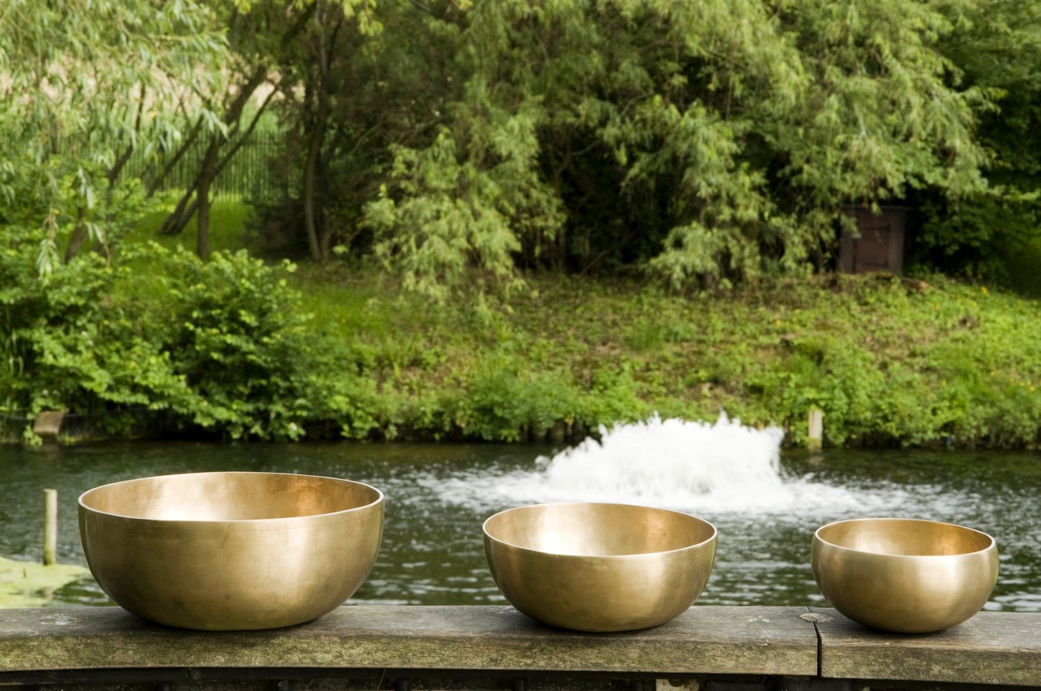 integrative medicine, integrative health