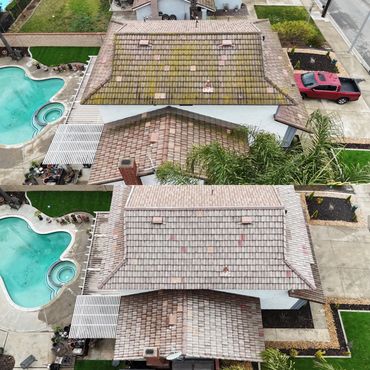 tile roof algae removal. pool area cleaning