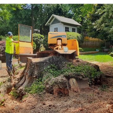 Worker operating a stump grinder in a lush backyard.