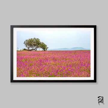 Dabholkar Ganesh Photography - Buy Photo Frames