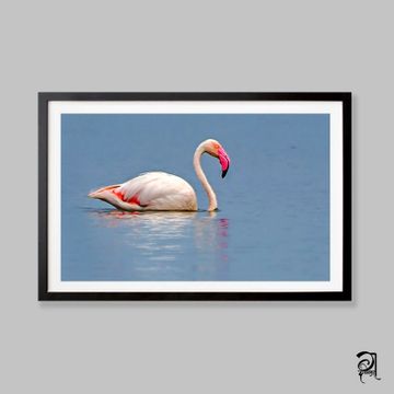 Dabholkar Ganesh Photography - Buy Photo Frames
