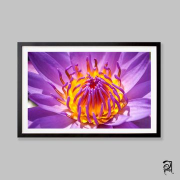 Dabholkar Ganesh Photography - Buy Photo Frames