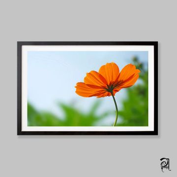 Dabholkar Ganesh Photography - Buy Photo Frames