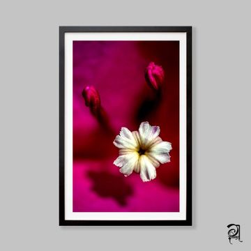Dabholkar Ganesh Photography - Buy Photo Frames