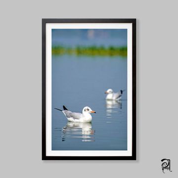 Dabholkar Ganesh Photography - Buy Photo Frames