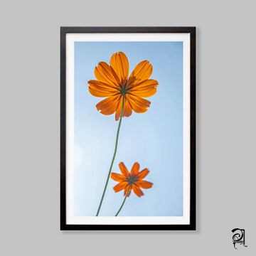 Dabholkar Ganesh Photography - Buy Photo Frames