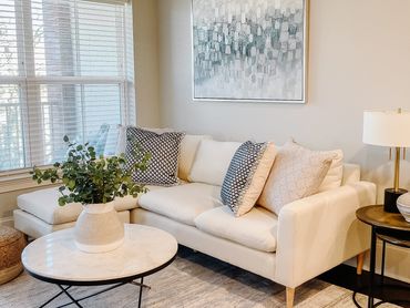 Interior Design Atlanta, Virtual Interior Design, Interior Designer, Design By DuBois, Alicia Schopp