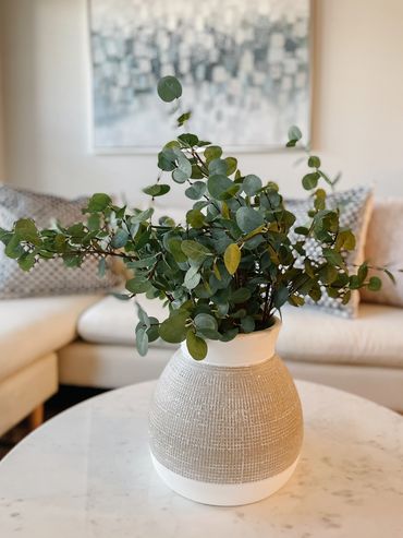 Interior Design Atlanta, Virtual Interior Design, Interior Designer, Design By DuBois, Alicia Schopp