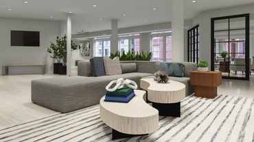 Clubhouse lounge with custom sectional, fireplace, & art in Washington DC metro multifamily property