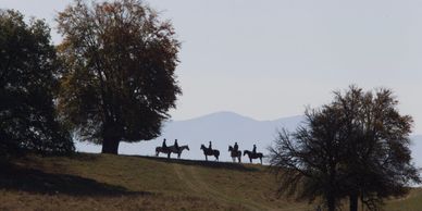 Horse riding holiday in Transylvania. Looking at the world on horseback