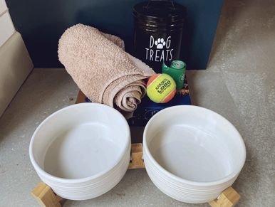 Dog feeding setup with bowls, towel, ball, and treats.