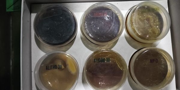 SPECIALITY GREASES