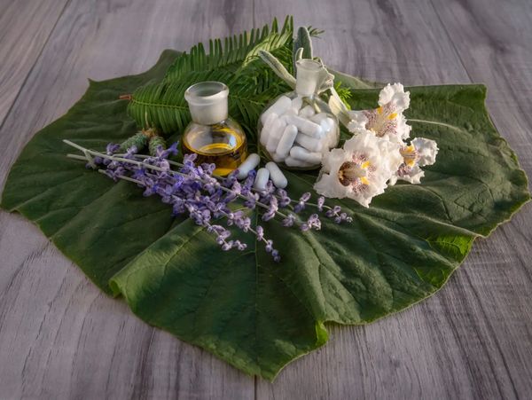 Sarah S Homeopathy, LLC