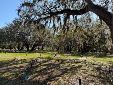 Arching live oak branches draped in Spanish moss above the memorial grounds at Beaches Memorial Park