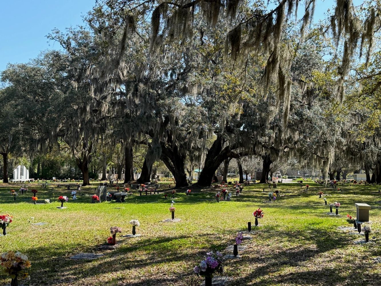 Spacious memorial grounds shaded by mature live oak trees at Beaches Memorial Park