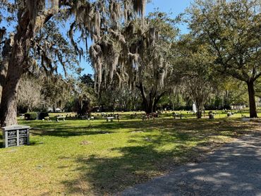 Path and memorial benches beneath moss-draped oaks at Beaches Memorial Park