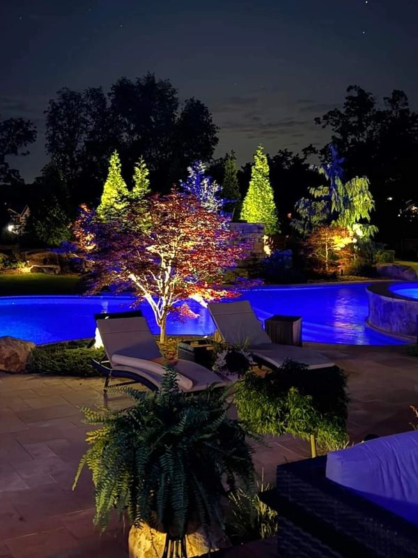Professional low voltage LED landscape lighting installation for houses and pools