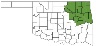 Medicare Help Tulsa serves NE Oklahoma