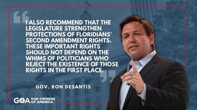 Gov. Ron DeSantis on protecting Second Amendment rights in Florida.