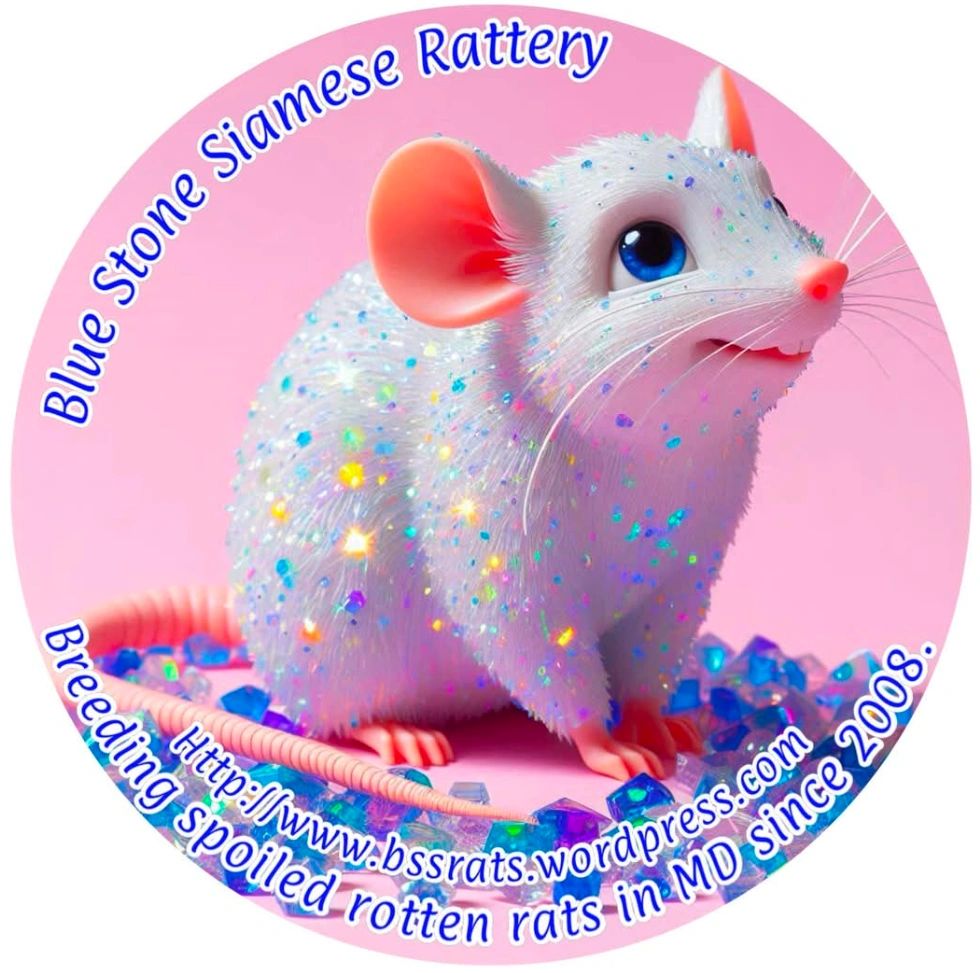 Blue Stone Siamese Rattery Logo