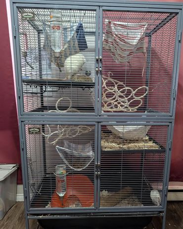 Midwest Homes For Pets Deluxe Double Critter Nation Cage for Pet Rats and other Small Animals