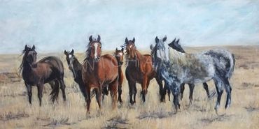 Eight wild horses on the grasslands of Wyoming.