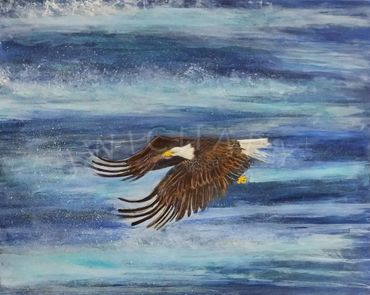 Eagle; fishing; wings forward; ready to catch a fish