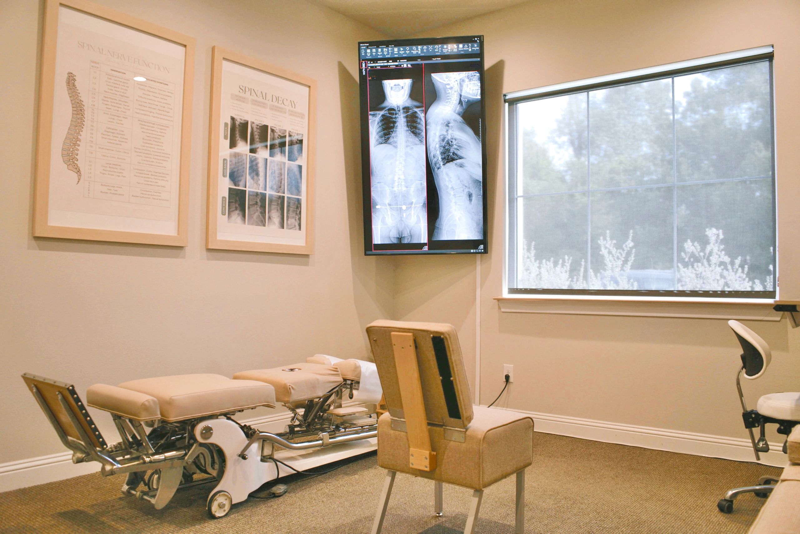 Gonstead Ajdjusting Equipment 【公式通販】