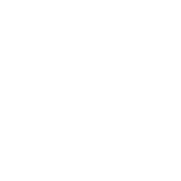 Summerfield Financial Services Inc.