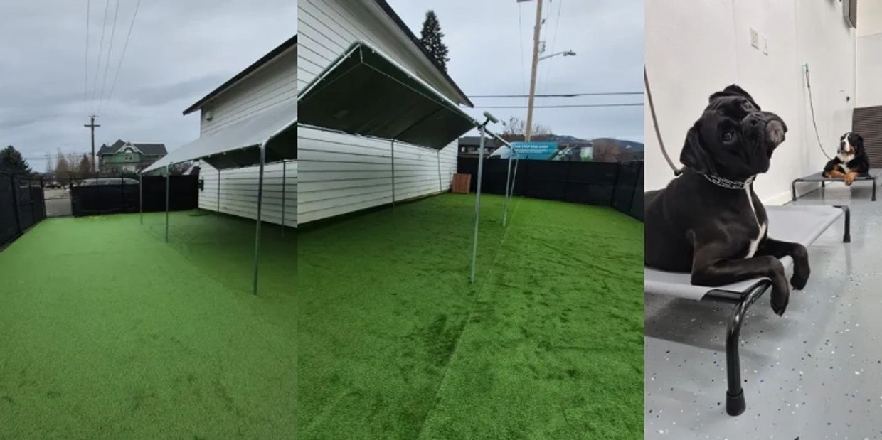 Ark K9 training school outdoor photos and an indoor photo with two dogs