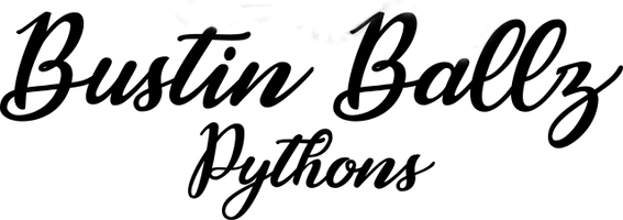 bUSTIN bALLZ Pythons 