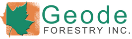 Geode Forestry, Inc.