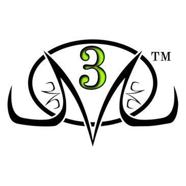Majinn Multiservice Mastery LLC "M3" Logo with the trademark symbol on the top right
