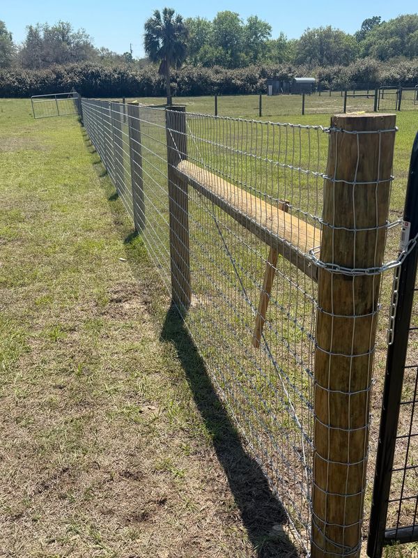 Long wire fence with wooden posts on green grass.