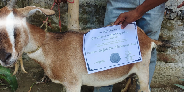 Choose us as your Qurban and Aqiqah service provider.