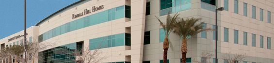 Commercial Property Advisors LLC cover