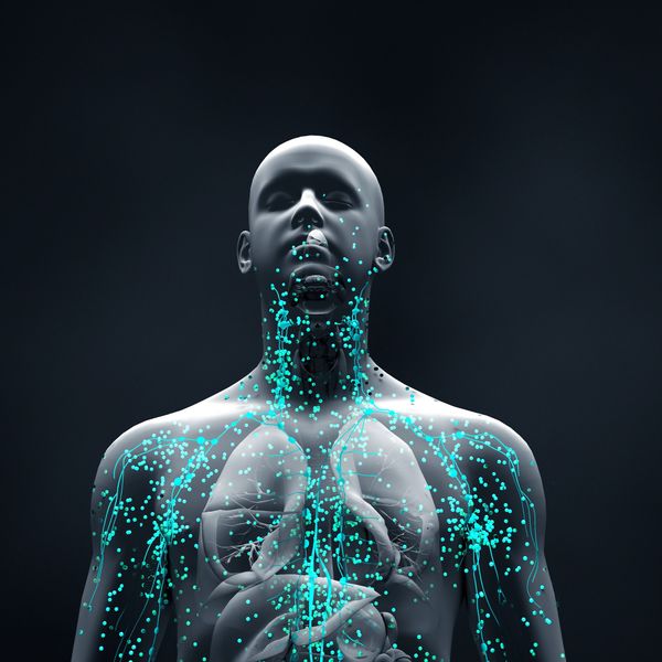 FIR HEAT therapy has been found to increase the production of heat shock proteins.