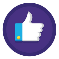 100% real fan base grow - Digital Search Technologies