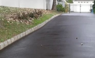 Wet driveway with caution tape blocking access.