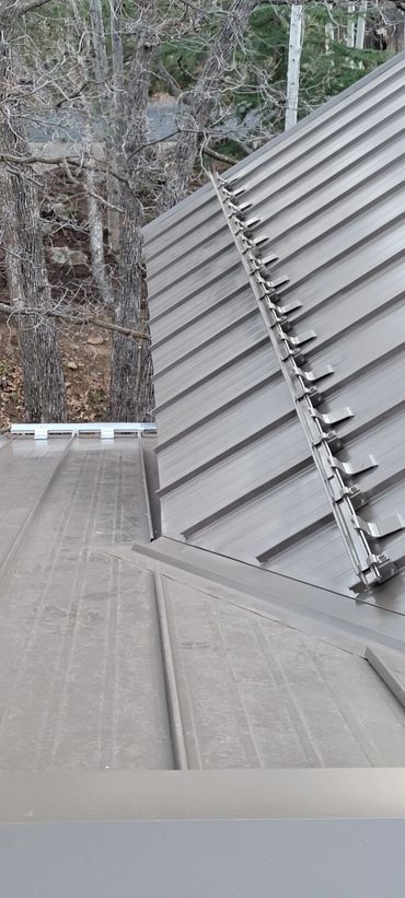 Close-up of a modern metal roof with a background of leafless trees.