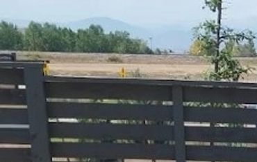 Backyard enhancement