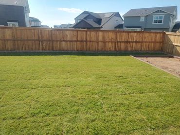 Lawn and Irrigation Installation
